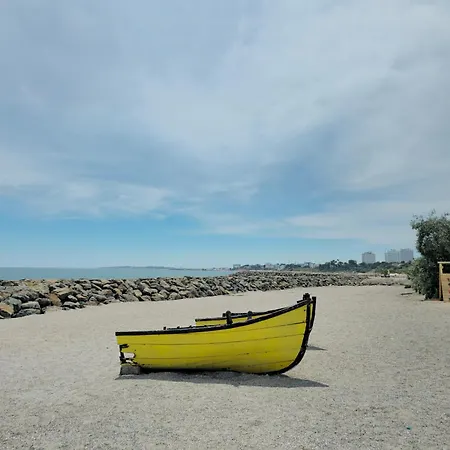 Miru * אג'יג'אה