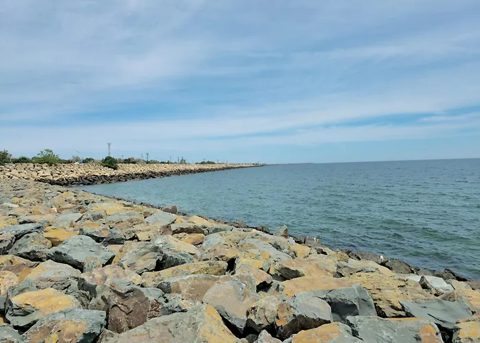 Miru * אג'יג'אה